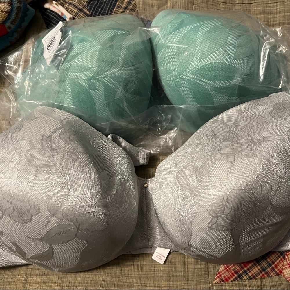 Lane Bryant bras